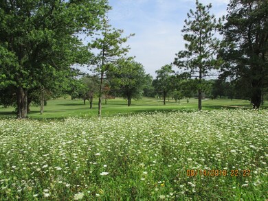 VE E Offner Rd, Beecher, IL 60401 - photo 7