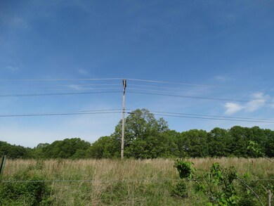 14.50ac Old Wilderness Rd, Reeds Spring, MO 65737 - photo 6