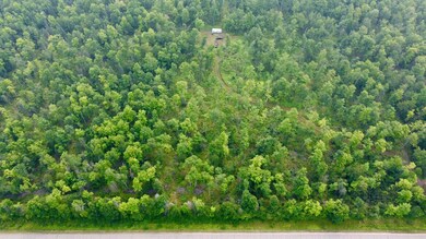 40 Acres Cth H, Gleason, WI 54435 - photo 4