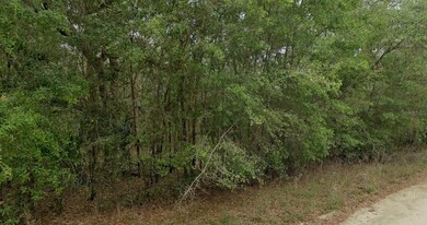 8856 N Himalayas Point, Dunnellon, FL 34433 - photo 7