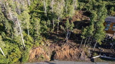 1037 Snow Crest Rd, Alpine Meadows, CA 96146 - photo 2