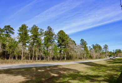 001 Nichols Sawmill Rd, Magnolia, TX 77355 - photo 7