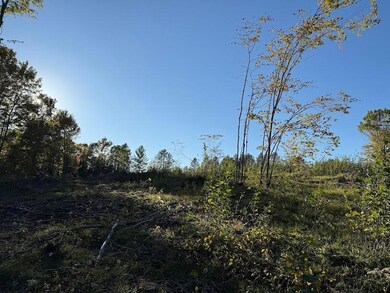 ON S Newman Lake Rd, Fifield, WI 54552 - photo 7