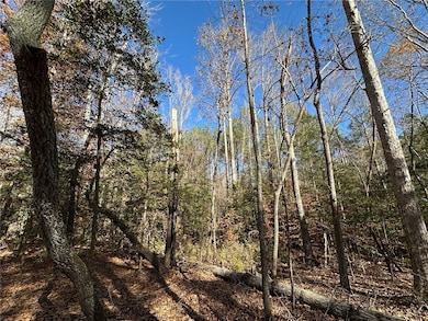 110 Watt Rogers Rd, Pelzer, SC 29669 - photo 4