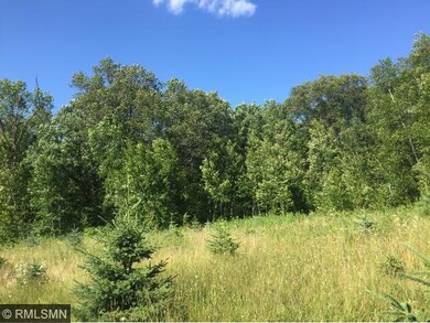 Food plots are in place!