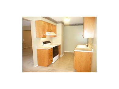 Kitchen Has Pretty Cabinets with Newer Doors and D