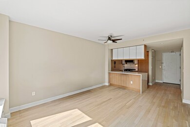 The Rushmore unit 12A, New York, NY 10069 - photo 2