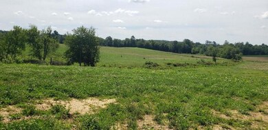 Field