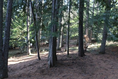 481 Davis Lake Rd, Usk, WA 99180 - photo 4