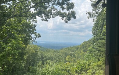 Additional View