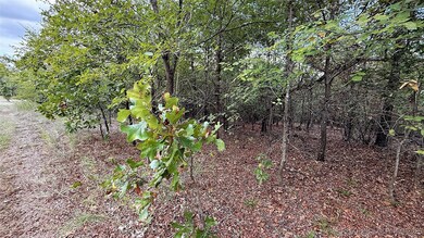 2 S 4531 Rd, Vian, OK 74962 - photo 7