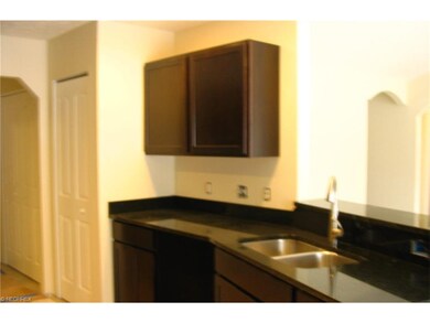 Chestnut cabinets with granite countertops.  Ceram