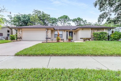 3404 Brian Rd S, Palm Harbor, FL 34685 - photo 3