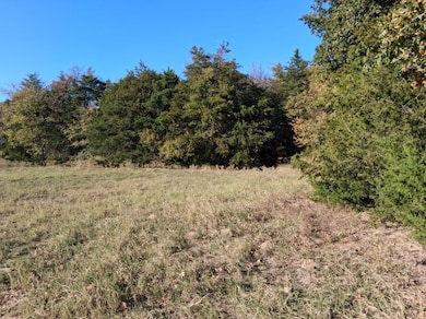 1071 Cr 2205, Ivanhoe, TX 75447 - photo 7