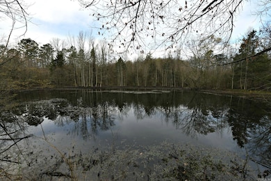 TBD Highway 8 E, Mena, AR 71953 - photo 3