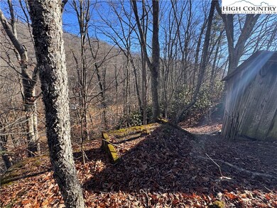 TBD Squirrel Creek Rd, Newland, NC 28657 - photo 7