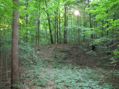 2012-07 MapleForest (34)