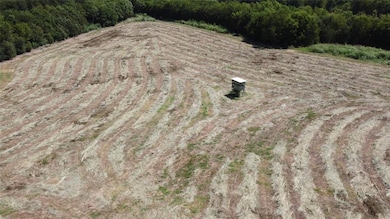 980 Cut Off Rd, Ennis, TX 75119 - photo 6