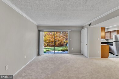 12249 Stevenson Ct unit 12249, Woodbridge, VA 22192 - photo 3