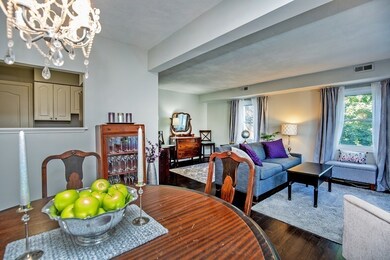 9 Marion St unit F, Roslindale, MA 02131 - photo 6