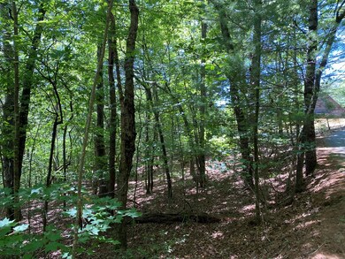 00 Ruby Cir, Franklin, NC 28734 - photo 2