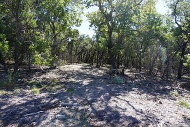 LOT 13 White Doe Pass, San Antonio, TX 78255 - photo 7