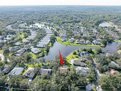 15015 Eaglerise Dr, Lithia, FL 33547 - photo 3