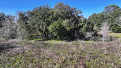 31023 Torrey Rd, Waller, TX 77484 - photo 6