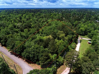 LOTS 21 & 22 Sweet Bay Cir, Magnolia, TX 77354 - photo 2