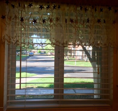 View from Kitchen Window