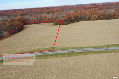 000A Alma Hatchery Rd, Odin, IL 62870 - photo 3