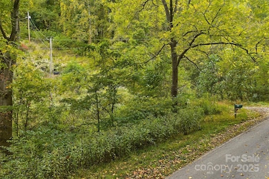 348 Chandler Creek Rd, Mars Hill, NC 28754 - photo 2