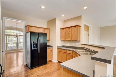 247 Hydrangea Dr, Clover, SC 29710 - photo 6