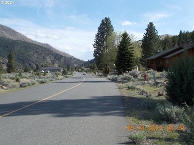 0 Elkview Dr unit 21506510, Canyon City, OR 97820 - photo 7