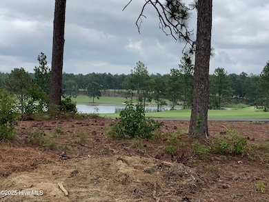 653 Watauga Ln unit 579, Aberdeen, NC 28315 - photo 7