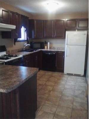 145 Jerilis Dr, Springfield, MA 01119 - photo 6