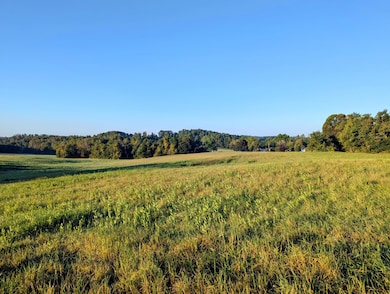 0 Daniels Run Rd, Check, VA 24072 - photo 2