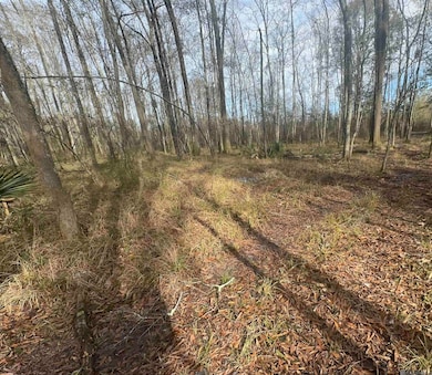 7474 Lemon Rd, Slaughter, LA 70777 - photo 4