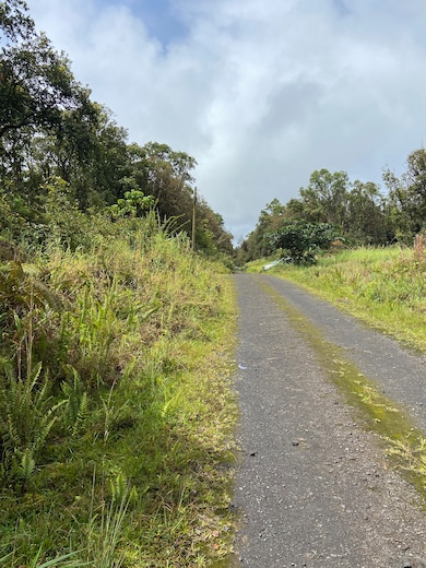 0 Road 4 unit 724078, Volcano, HI 96785 - photo 4