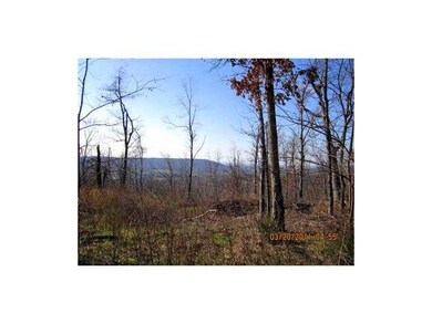 12988 Nickels Rd, West Fork, AR 72774 - photo 5