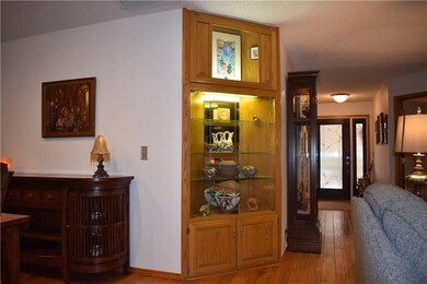 Lighted display case in living room.