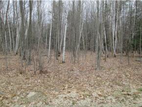 0 Davidson Hill Rd, Andover, VT 05143 - photo 3