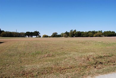 277 Kirk Ave, Pottsboro, TX 75076 - photo 3