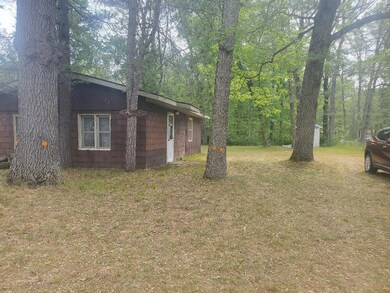 11426 N Bingham Ave, Bitely, MI 49309 - photo 7