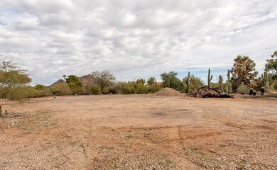 Joshua Tree-12