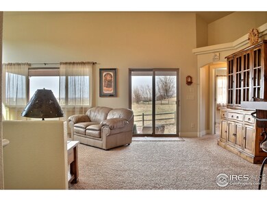 Lots of Natural Light and Window Views