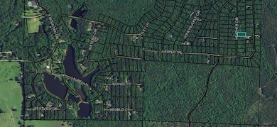 BLK 29 LOT 31 Heather Cir, Waverly Hall, GA 31831 - photo 2