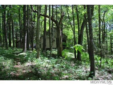 Cabin in the Woods