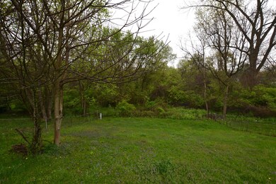 Rear Yard