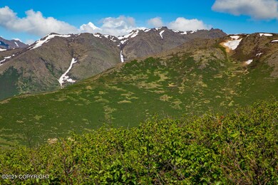 _MG_8984
